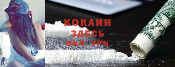 дживик Корсаков